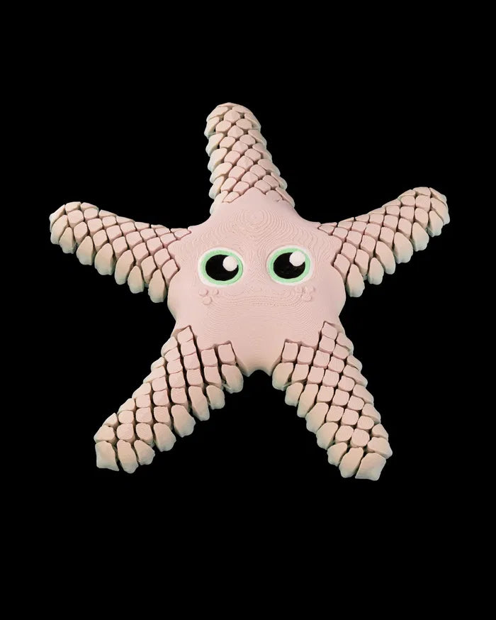 Sandy, the Sea Star