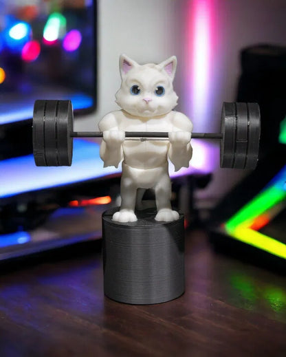 Gym Cat