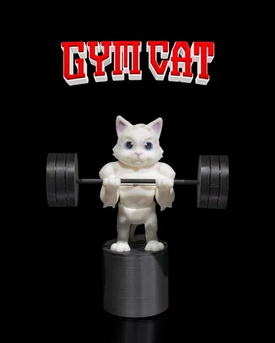 Gym Cat