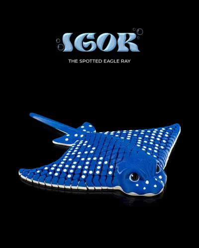 Igor, the Spotted Eagle Ray