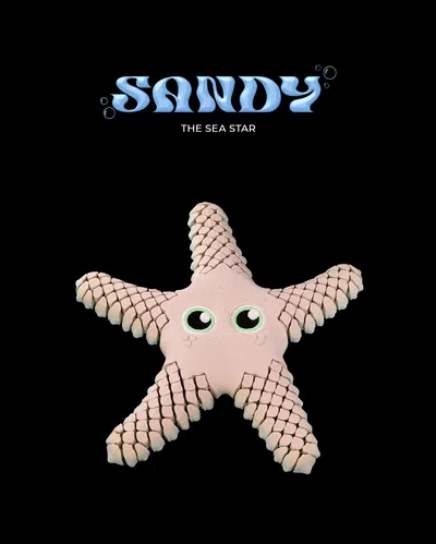 Sandy, the Sea Star